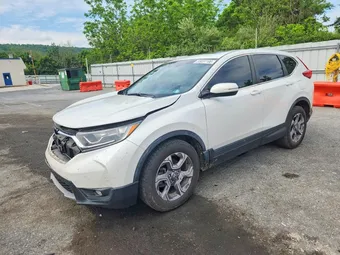2019 Honda CR-V 7FARW2H58KE050879 Lot 55037196