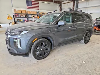 2025 Hyundai Palisade KM8R3DGE0SU934111