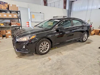 2018 Hyundai Sonata 5NPE24AF0JH605456 Lot 49579996