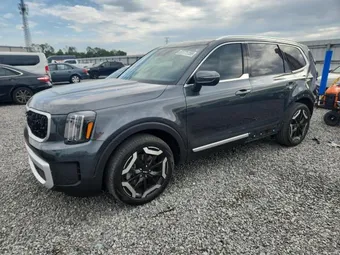 2024 Kia Telluride 5XYP34GC8RG556027