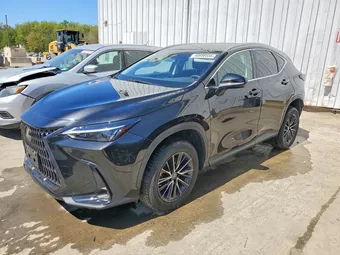 2022 Lexus NX 350 2T2AGCEZ3NC007977