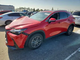 2025 Lexus NX 250 2T2ADCAZ8SC021187 Lot 55730616
