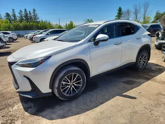2022 Lexus NX 350H JTJAKCEZ5N5002244