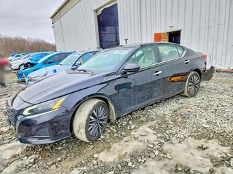 2023 Nissan Altima 1N4BL4DW5PN400709 Lot 78258955
