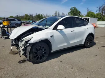 2023 Tesla Model Y 7SAYGDEE3PA196358 Lot 55752646