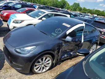 2024 Tesla Model Y 7SAYGDEFXRA282987 Lot 55500616