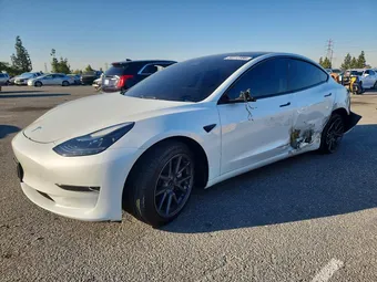 2023 Tesla Model 3 5YJ3E1EA3PF596013 Lot 54117386