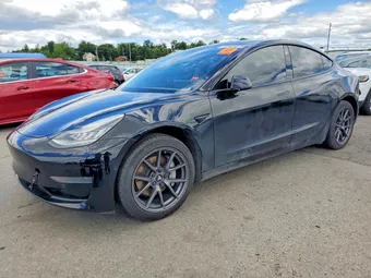 2021 Tesla Model 3 5YJ3E1EA5MF859307 Lot 57420876