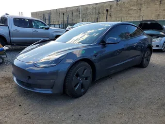 2021 Tesla Model 3 5YJ3E1EA7MF083097 Lot 48749156