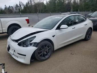 2021 Tesla Model 3 5YJ3E1EA2MF014320 Lot 50077806