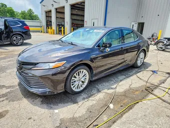 2019 Toyota Camry 4T1B21HK7KU520475 Lot 55426836