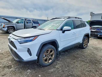 2023 Toyota RAV4 2T3UWRFV4PW163361 Lot 51811196