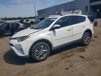 2016 Toyota RAV4 JTMRJREV3GD024745 Lot 56179396