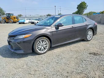 2019 Toyota Camry 4T1B21HK3KU013492 Lot 56351546
