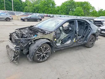 2019 Toyota Camry 4T1B11HK5KU827081 Lot 56561706