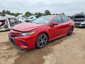 2020 Toyota Camry 4T1J31AK0LU011753 Lot 54650376