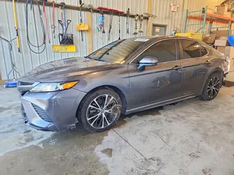 2019 Toyota Camry 4T1B11HK6KU766310 Lot 55493406