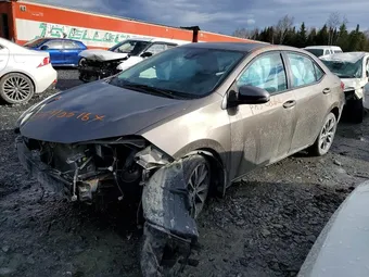 2017 Toyota Corolla 2T1BURHE6HC857944 Lot 53570516