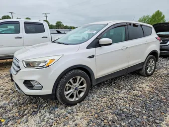 2019 Ford Escape 1FMCU0GD9KUA11659 Lot 54309066