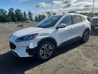 2020 Ford Escape 1FMCU9H65LUB09884 Lot 53274586