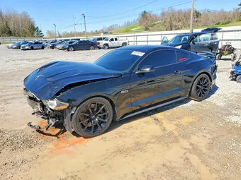 2019 Ford Mustang 1FA6P8CF4K5163248 Lot 45875276