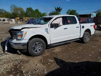 2023 Ford F-150 1FTEW1EPXPKF67590 Lot 51038846