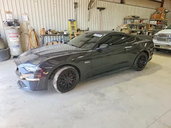 2023 Ford Mustang 1FA6P8CF9P5301826