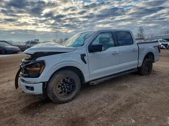 2024 Ford F-150 1FTEW3LP0RKD60918 Lot 46538756