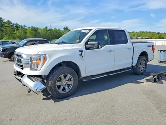 2021 Ford F-150 1FTEW1EP5MFB66923 Lot 53705116