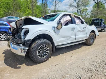 2023 Ford F-150 1FTEW1EP4PFA22820 Lot 51918886