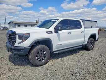2025 GMC Sierra 1500 3GTUUFE85SG156752 Lot 56171736