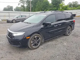 2023 Honda Odyssey 5FNRL6H95PB050943 Lot 53807406