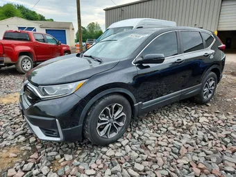 2020 Honda CR-V 2HKRW1H52LH409961 Lot 54729456