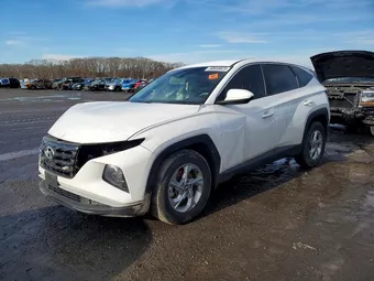 2023 Hyundai Tucson 5NMJACAE4PH239588 Lot 99858825