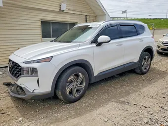 2023 Hyundai Santa Fe 5NMS24AJ5PH516771 Lot 54824426