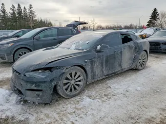 2023 Tesla Model S 5YJSA1E51PF501202 Lot 74443725