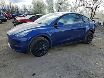 2023 Tesla Model Y 7SAYGDEE3PA135169 Lot 48224236