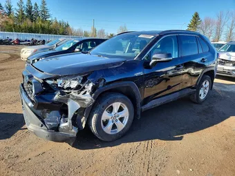 2021 Toyota RAV4 2T3BWRFV5MW108713 Lot 51988006