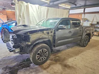 2023 Toyota Tacoma 3TMCZ5AN9PM602672 Lot 58024726