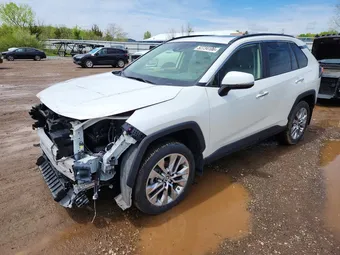 2019 Toyota RAV4 JTMN1RFV7KD003905 Lot 52734106