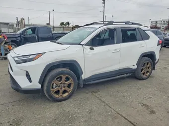 2023 Toyota RAV4 2T3UWRFV1PW160949 Lot 58295646