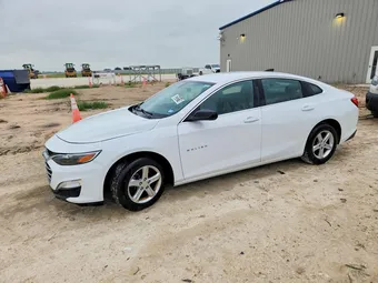 2020 Chevrolet Malibu 1G1ZB5ST7LF114075 Lot 52312116