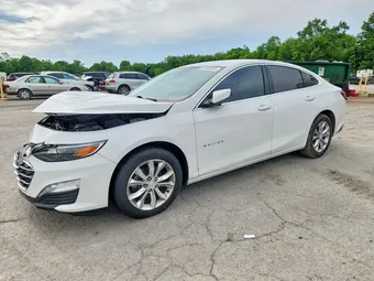 2019 Chevrolet Malibu 1G1ZD5ST6KF113234 Lot 55109536