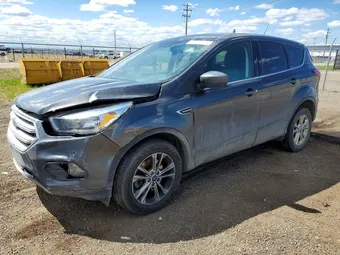 2019 Ford Escape 1FMCU9GD8KUC41004 Lot 53937686