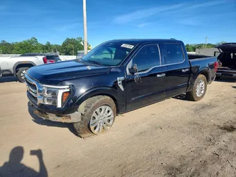 2025 Ford F-150 1FTFW5L53SFA82450 Lot 53587856