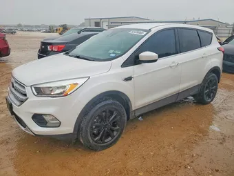 2019 Ford Escape 1FMCU0GD7KUC52264 Lot 50499086
