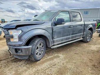 2016 Ford F-150 1FTEW1EP8GFB05571 Lot 51124476