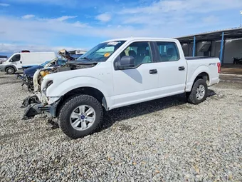 2015 Ford F-150 1FTEW1EF5FKD16286 Lot 50219546