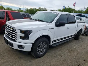 2017 Ford F-150 1FTEW1EG2HKE32203 Lot 52799156