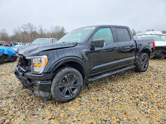 2021 Ford F-150 1FTEW1EP5MFD14309 Lot 47970966